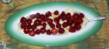 Økologiske jordbær med yoghurt-is